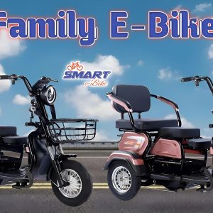 family bike