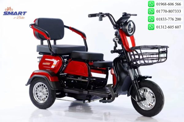 Family Bike - Image 4