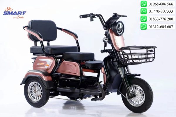 Family Bike - Image 5